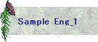 Sample Eng_1