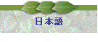 Japanese {