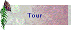 Tour