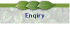 Web Enqiry