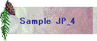 Sample JP_4